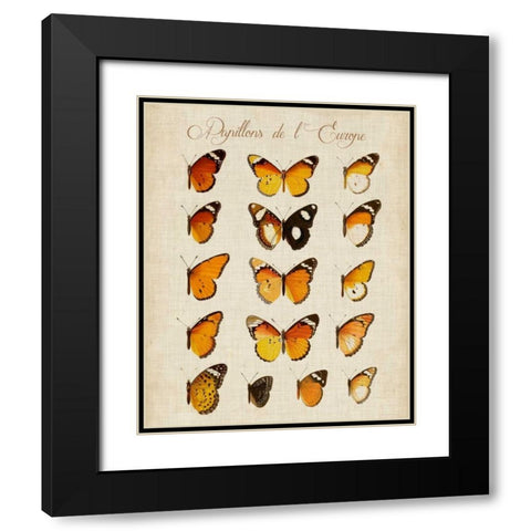 Papillons de LEurope II Black Modern Wood Framed Art Print with Double Matting by Vision Studio