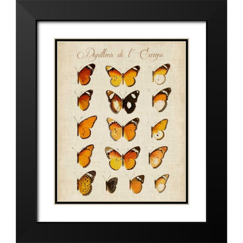 Papillons de LEurope II Black Modern Wood Framed Art Print with Double Matting by Vision Studio