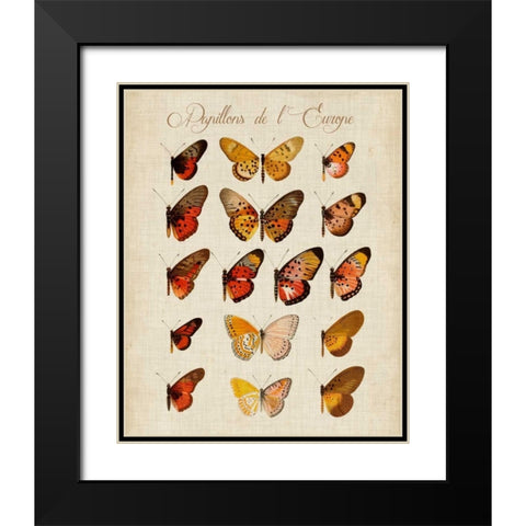 Papillons de LEurope III Black Modern Wood Framed Art Print with Double Matting by Vision Studio