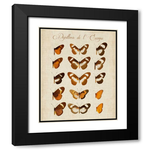 Papillons de LEurope IV Black Modern Wood Framed Art Print with Double Matting by Vision Studio