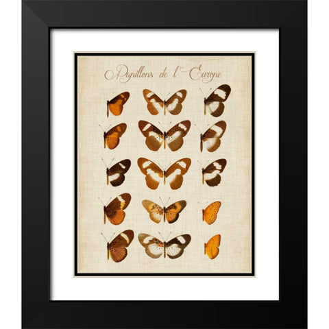 Papillons de LEurope IV Black Modern Wood Framed Art Print with Double Matting by Vision Studio