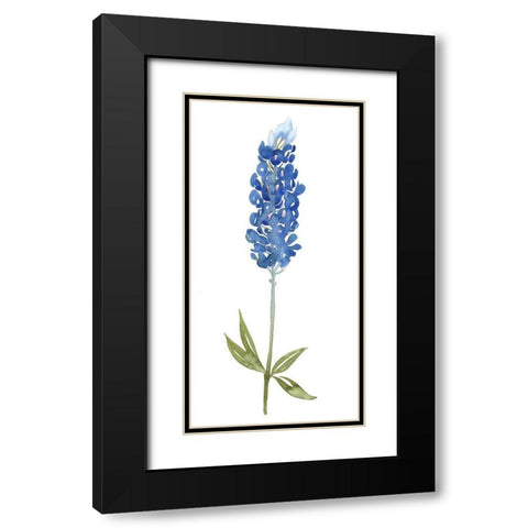 Blue Bonnets I (ASH) Black Modern Wood Framed Art Print with Double Matting by Popp, Grace