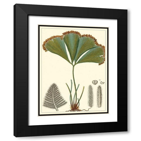 Small Foliage Botanique I Black Modern Wood Framed Art Print with Double Matting by Turpin