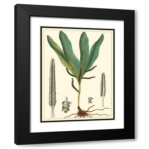 Small Foliage Botanique II Black Modern Wood Framed Art Print with Double Matting by Turpin