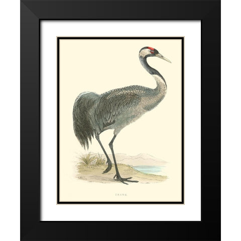 Small Morris Crane I Black Modern Wood Framed Art Print with Double Matting by Morris