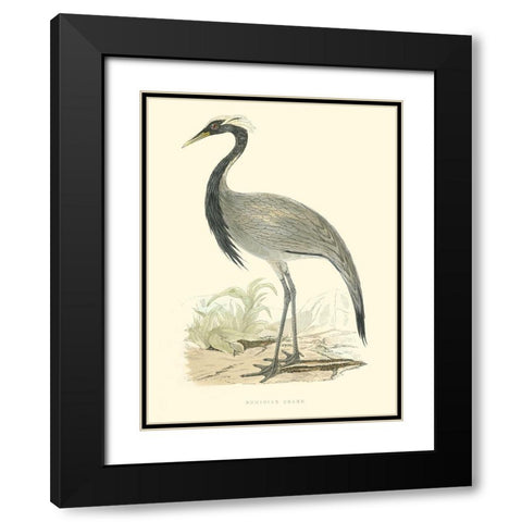 Small Morris Crane II Black Modern Wood Framed Art Print with Double Matting by Morris