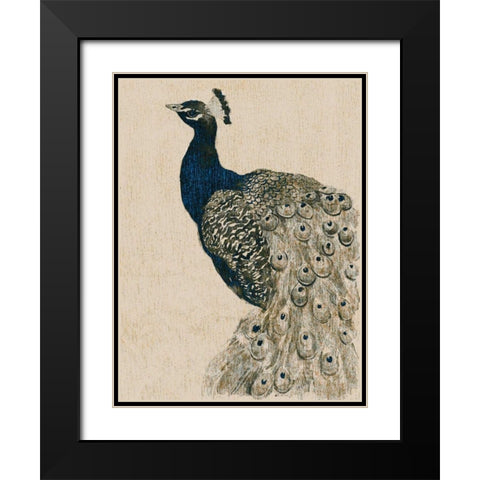 Textured Peacock II Black Modern Wood Framed Art Print with Double Matting by Popp, Grace