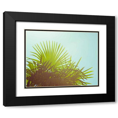 Sunny Palms I Black Modern Wood Framed Art Print with Double Matting by Quintero, Sonja