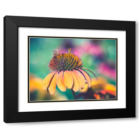 Mellow Yellows I Black Modern Wood Framed Art Print with Double Matting by Quintero, Sonja