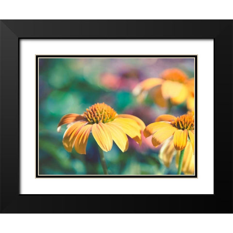 Mellow Yellows II Black Modern Wood Framed Art Print with Double Matting by Quintero, Sonja