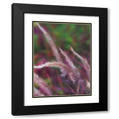 Purple Plumes I Black Modern Wood Framed Art Print with Double Matting by Quintero, Sonja