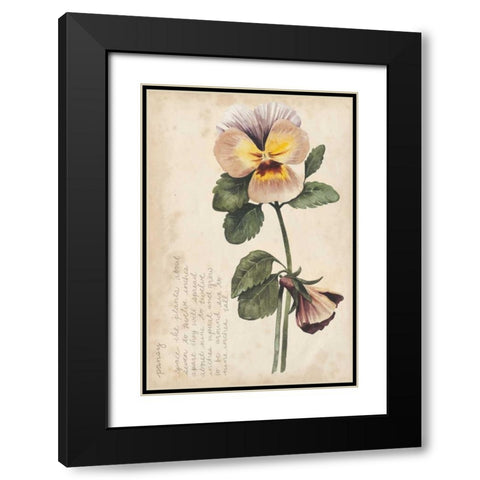 Garden Studies I Black Modern Wood Framed Art Print with Double Matting by Popp, Grace