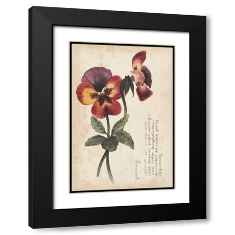 Garden Studies II Black Modern Wood Framed Art Print with Double Matting by Popp, Grace