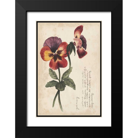 Garden Studies II Black Modern Wood Framed Art Print with Double Matting by Popp, Grace