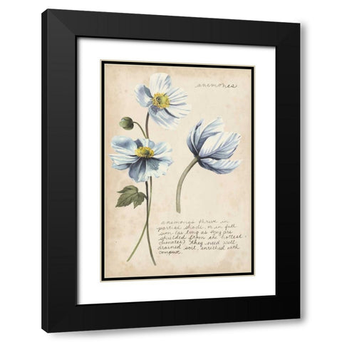 Garden Studies III Black Modern Wood Framed Art Print with Double Matting by Popp, Grace