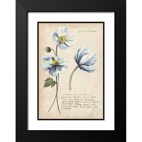 Garden Studies III Black Modern Wood Framed Art Print with Double Matting by Popp, Grace