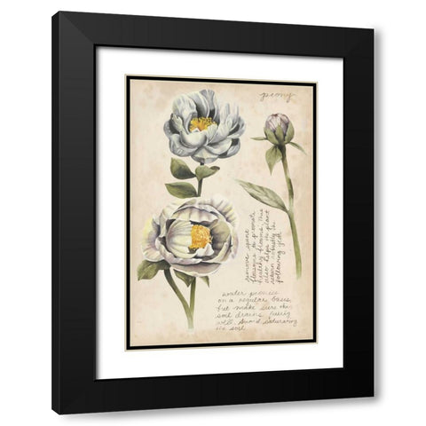 Garden Studies IV Black Modern Wood Framed Art Print with Double Matting by Popp, Grace