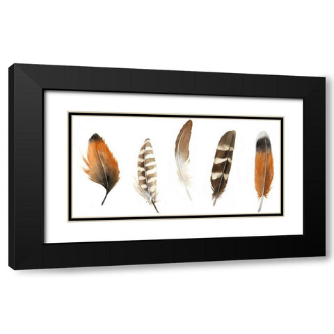 Red Rock Feathers I Black Modern Wood Framed Art Print with Double Matting by Popp, Grace