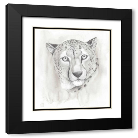 Big Cat Study I Black Modern Wood Framed Art Print with Double Matting by Popp, Grace