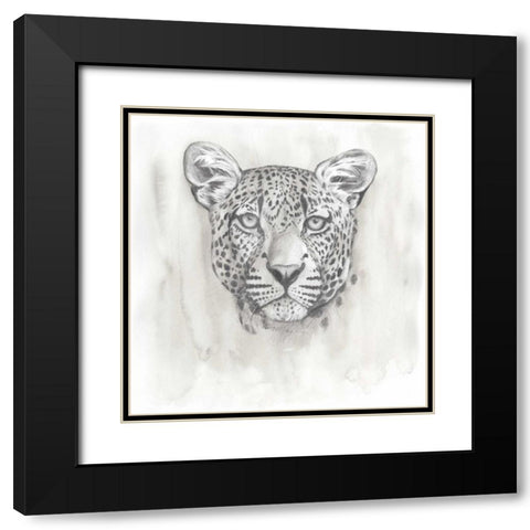 Big Cat Study IV Black Modern Wood Framed Art Print with Double Matting by Popp, Grace