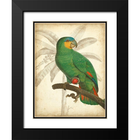 Custom Parrot and Palm I Black Modern Wood Framed Art Print with Double Matting by Vision Studio