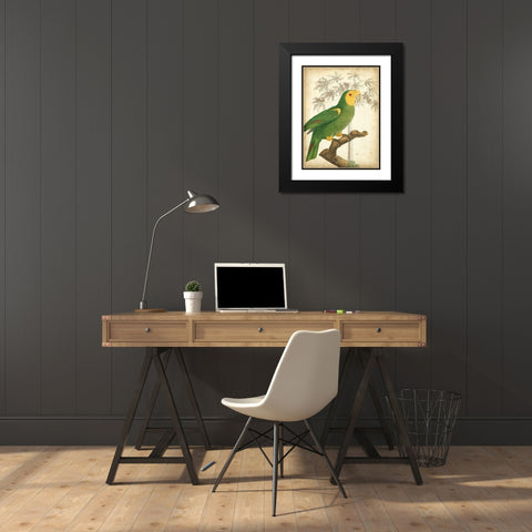 Custom Parrot and Palm IV Black Modern Wood Framed Art Print with Double Matting by Vision Studio