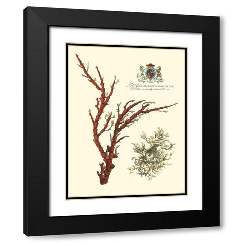 Custom Imperial Coral I Black Modern Wood Framed Art Print with Double Matting by Vision Studio