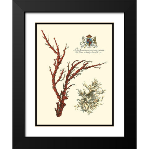 Custom Imperial Coral I Black Modern Wood Framed Art Print with Double Matting by Vision Studio