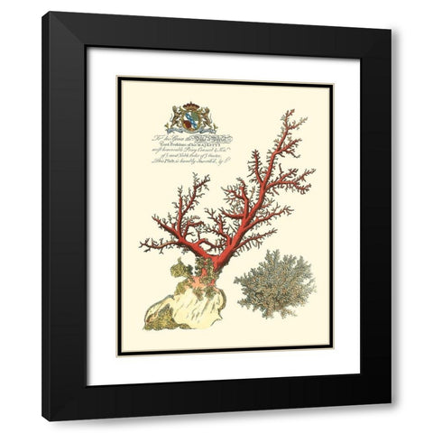 Custom Imperial Coral II Black Modern Wood Framed Art Print with Double Matting by Vision Studio
