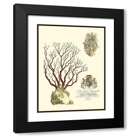 Custom Imperial Coral III Black Modern Wood Framed Art Print with Double Matting by Vision Studio