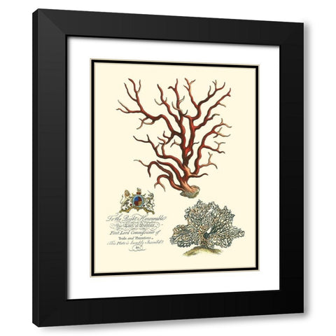 Custom Imperial Coral IV Black Modern Wood Framed Art Print with Double Matting by Vision Studio