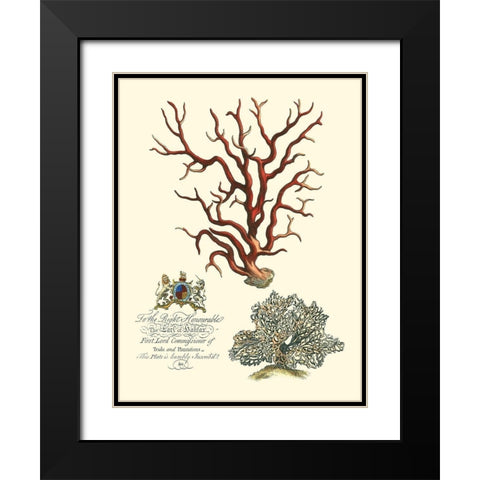 Custom Imperial Coral IV Black Modern Wood Framed Art Print with Double Matting by Vision Studio