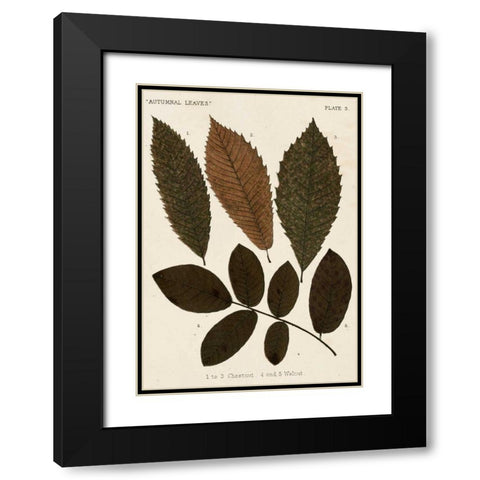 Autumnal Leaves I Black Modern Wood Framed Art Print with Double Matting by Vision Studio