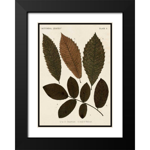 Autumnal Leaves I Black Modern Wood Framed Art Print with Double Matting by Vision Studio