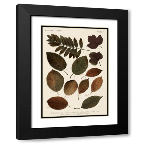 Autumnal Leaves II Black Modern Wood Framed Art Print with Double Matting by Vision Studio