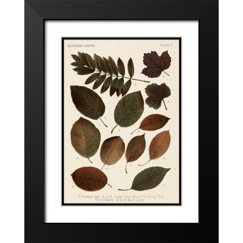 Autumnal Leaves II Black Modern Wood Framed Art Print with Double Matting by Vision Studio