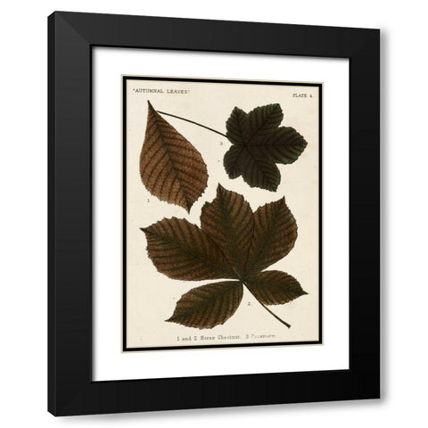 Autumnal Leaves III Black Modern Wood Framed Art Print with Double Matting by Vision Studio