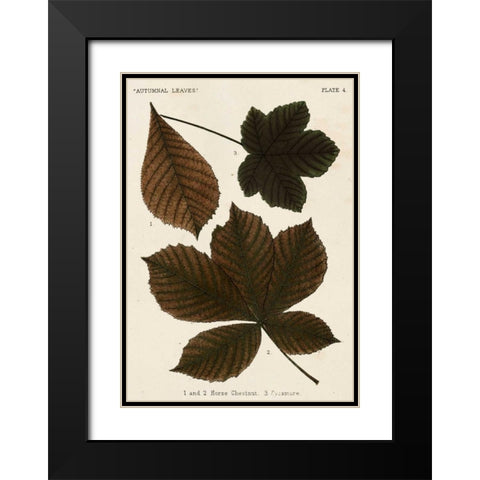 Autumnal Leaves III Black Modern Wood Framed Art Print with Double Matting by Vision Studio