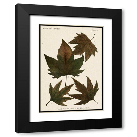 Autumnal Leaves IV Black Modern Wood Framed Art Print with Double Matting by Vision Studio