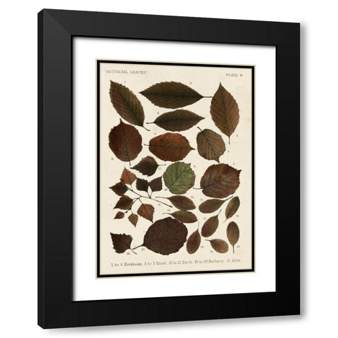 Autumnal Leaves VI Black Modern Wood Framed Art Print with Double Matting by Vision Studio