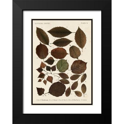 Autumnal Leaves VI Black Modern Wood Framed Art Print with Double Matting by Vision Studio