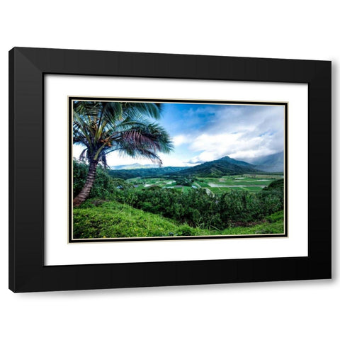 Hanalei Valley Black Modern Wood Framed Art Print with Double Matting by Head, Danny