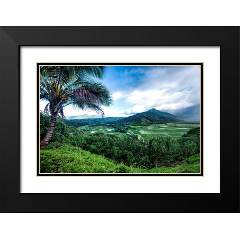 Hanalei Valley Black Modern Wood Framed Art Print with Double Matting by Head, Danny