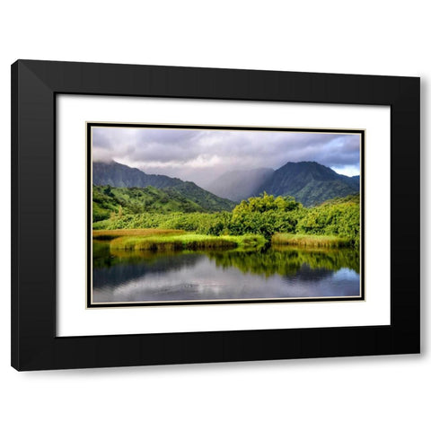 Coastal Marsh III Black Modern Wood Framed Art Print with Double Matting by Head, Danny