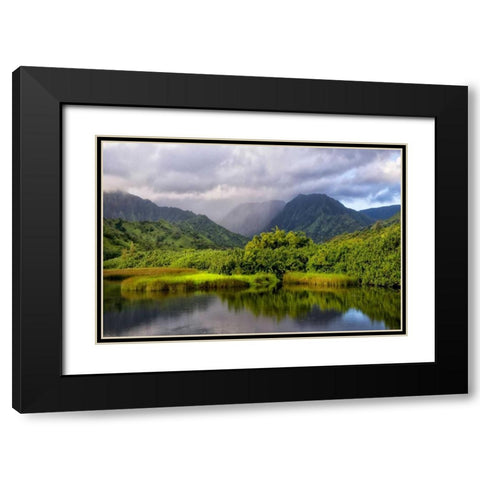 Coastal Marsh IV Black Modern Wood Framed Art Print with Double Matting by Head, Danny