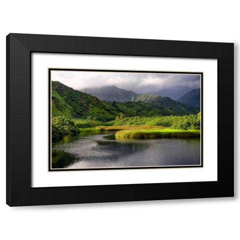 Coastal Marsh V Black Modern Wood Framed Art Print with Double Matting by Head, Danny