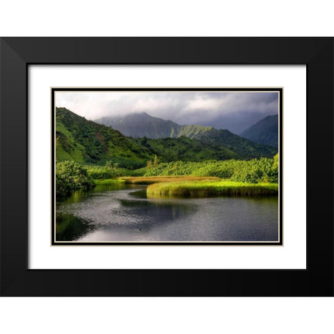 Coastal Marsh V Black Modern Wood Framed Art Print with Double Matting by Head, Danny