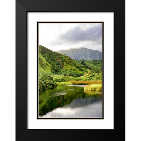 Coastal Marsh Triptych I Black Modern Wood Framed Art Print with Double Matting by Head, Danny