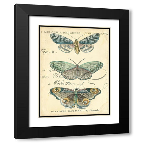 Custom Butterfly Ephemera II (GC) Black Modern Wood Framed Art Print with Double Matting by Zarris, Chariklia