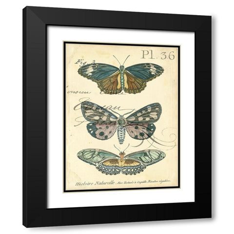 Custom Butterfly Ephemera III (GC) Black Modern Wood Framed Art Print with Double Matting by Zarris, Chariklia